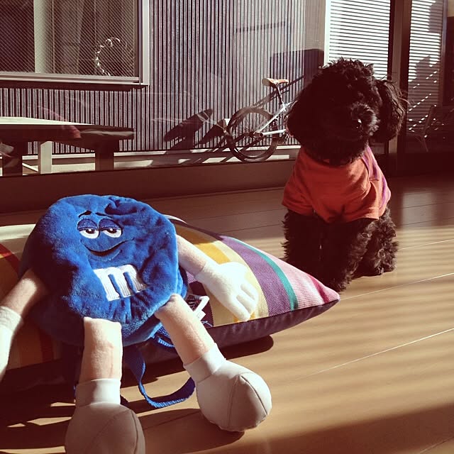 mini_mayさんの実例写真