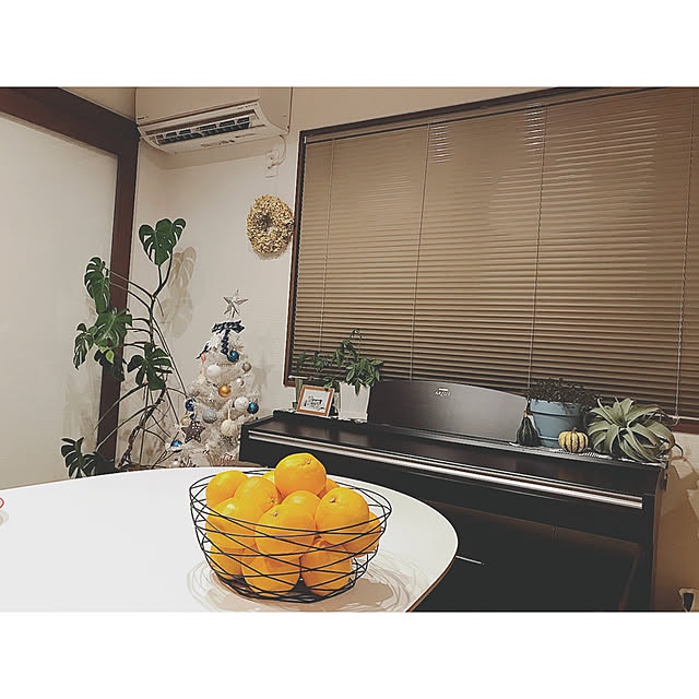 sayさんの実例写真