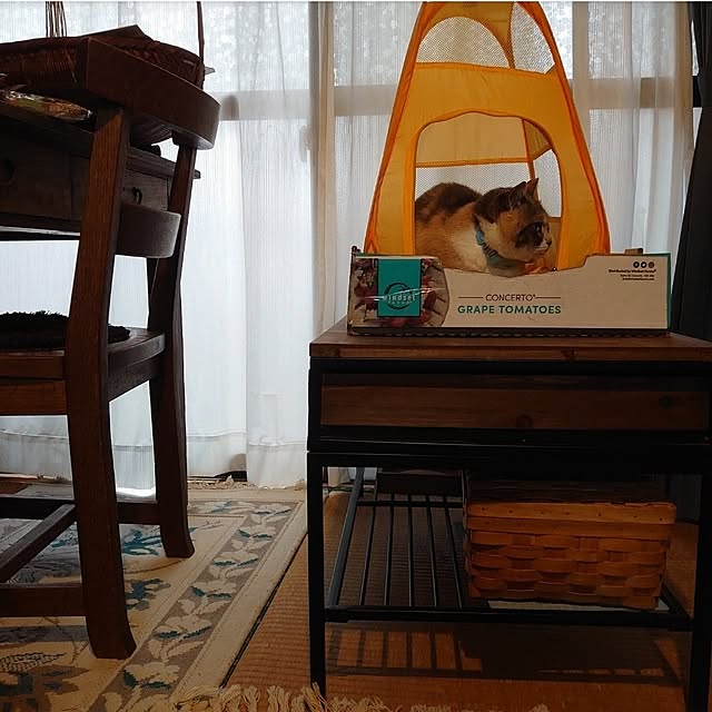 fukuさんの部屋