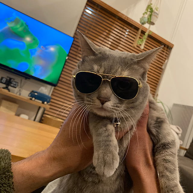 oku0728さんの実例写真