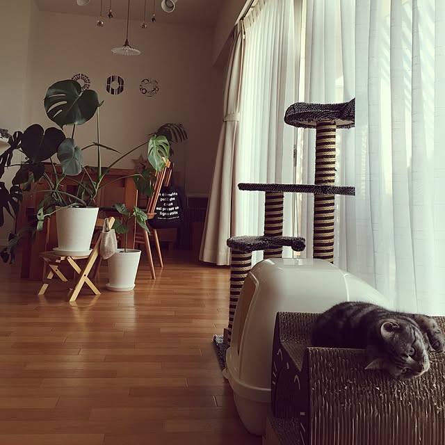 hiyupan88さんの実例写真