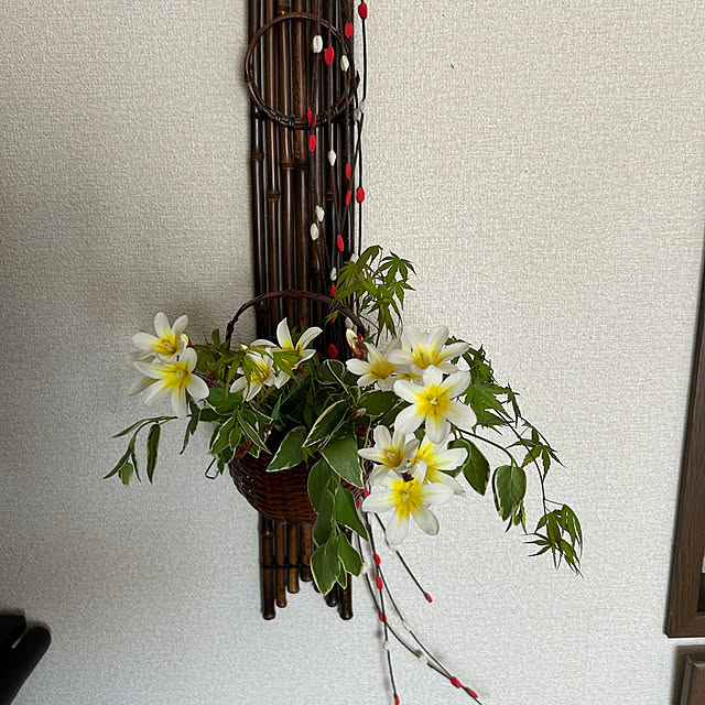 ritsukoさんの部屋