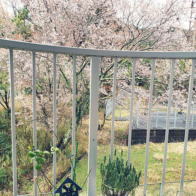 K0417-M0604さんの実例写真