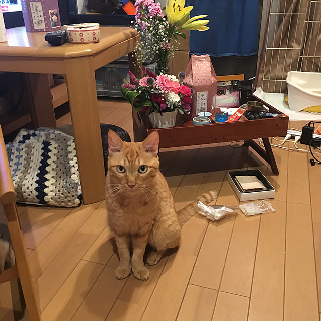 kou-kitiさんの実例写真