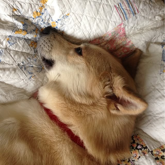 leonaさんの実例写真