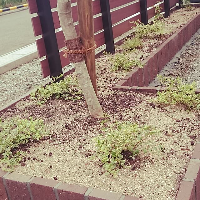 yellowさんの実例写真