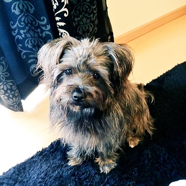 sさんの実例写真