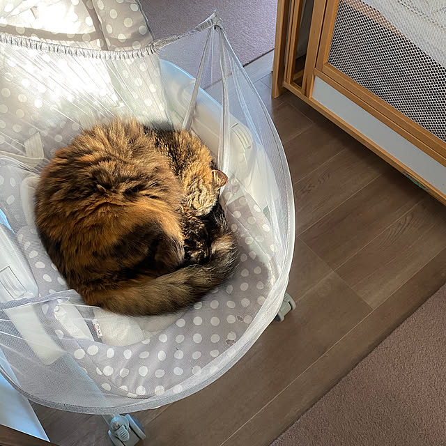 mikomaruさんの実例写真