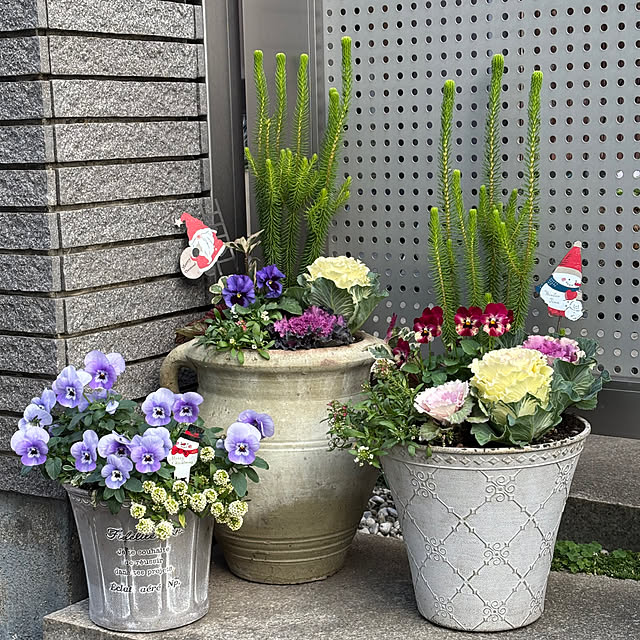 maayaさんの実例写真