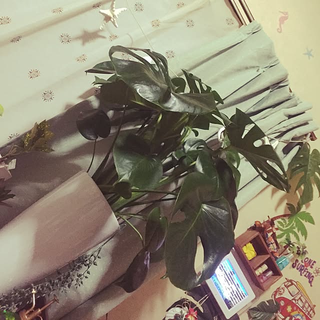 AYANOさんの実例写真