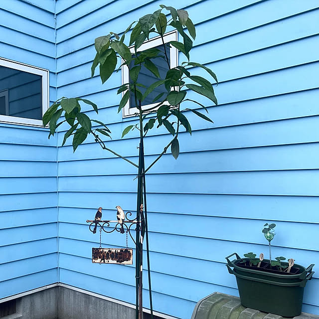 Ohigeさんの部屋