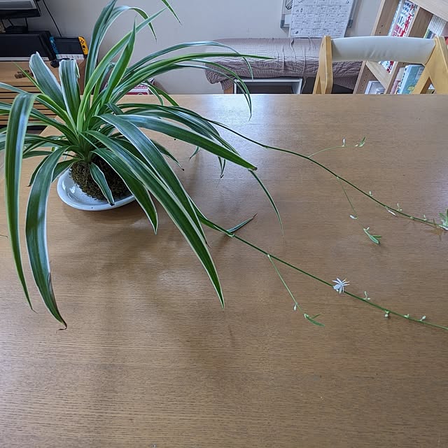 chiz3さんの部屋