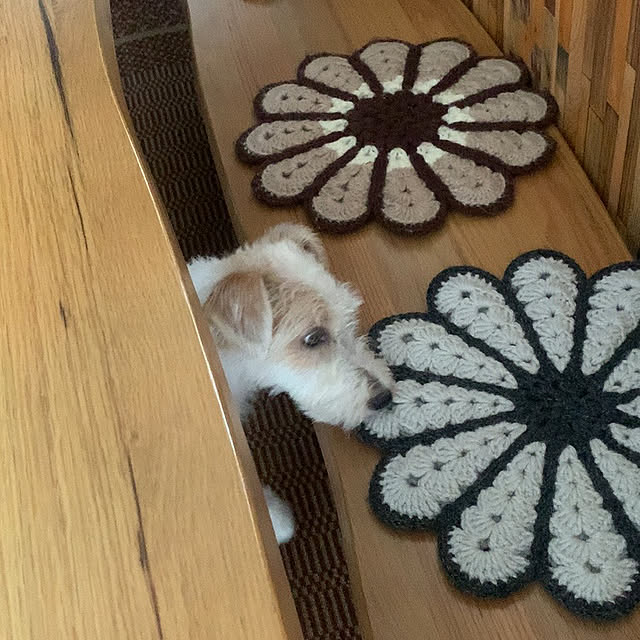 Fumiさんの部屋