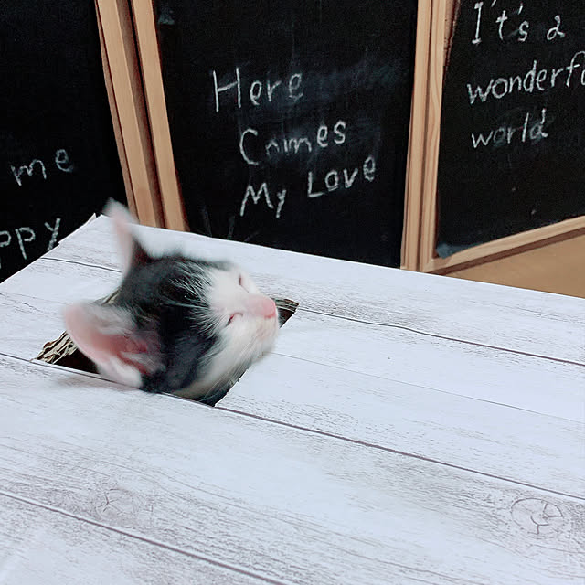 harukaさんの実例写真