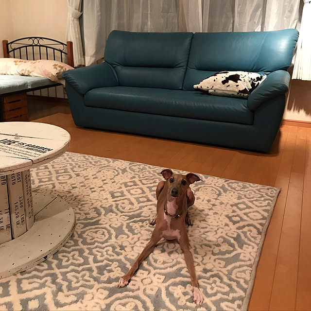 実例写真