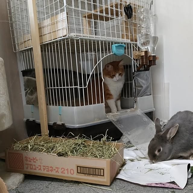 mori_6_12さんの部屋