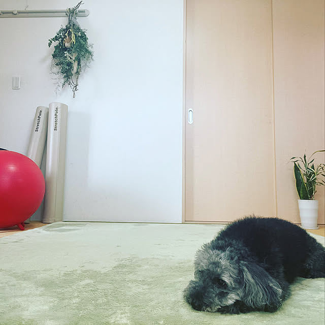 rikaさんの実例写真