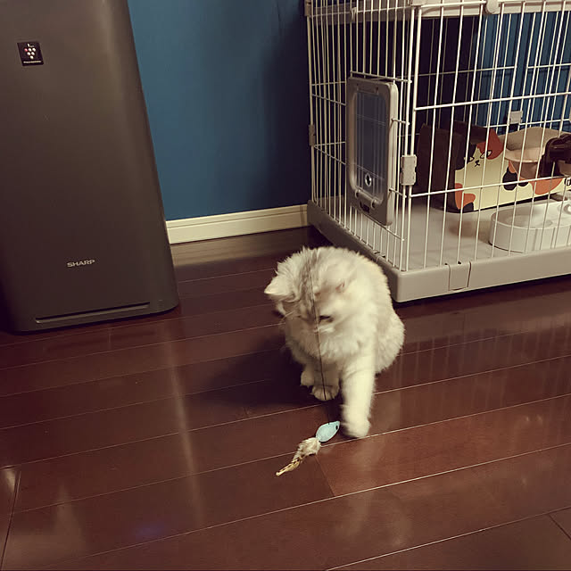 no.009さんの実例写真