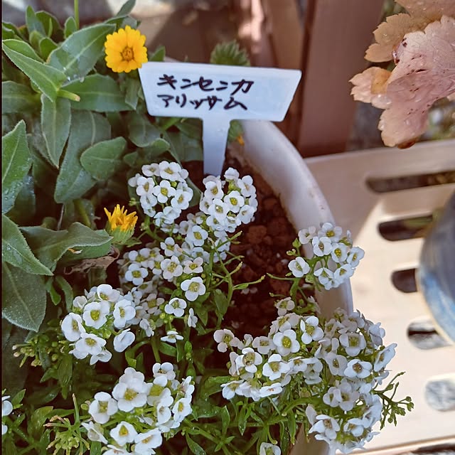 hiro-yさんの部屋