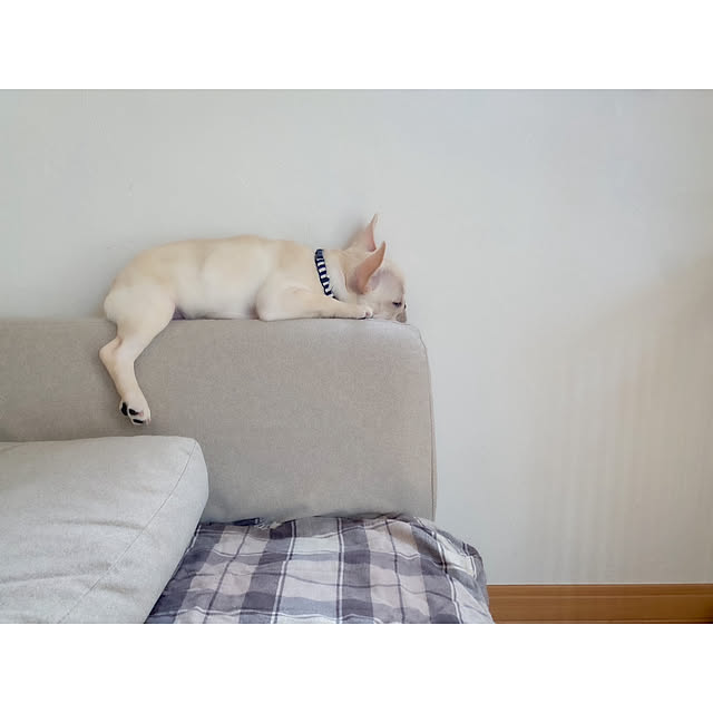 monika3103さんの実例写真