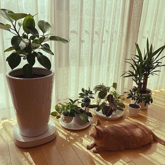 ichiroさんの実例写真