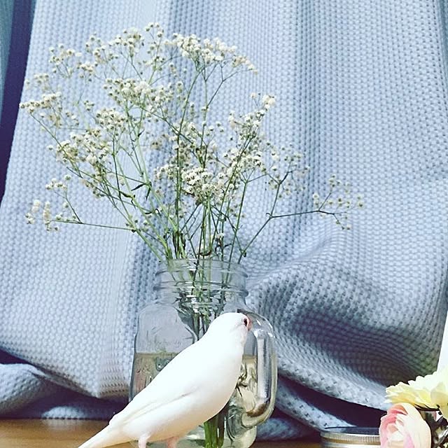 Ishiharaさんの実例写真
