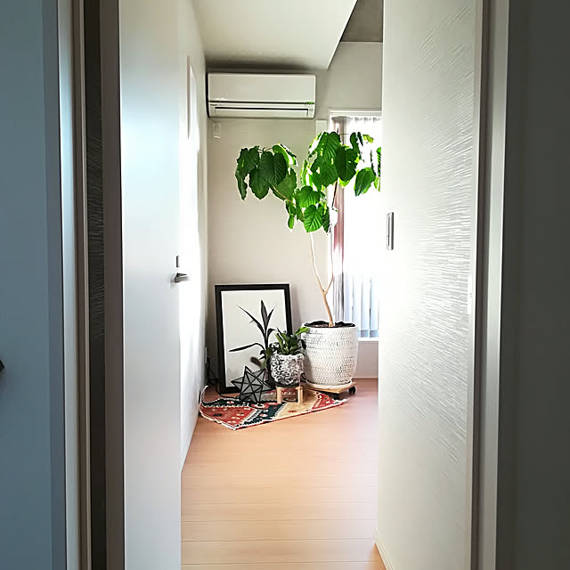 Jijiさんの実例写真