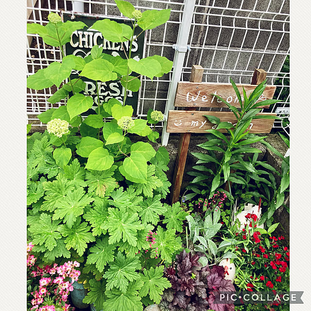 CoCo0617さんの実例写真