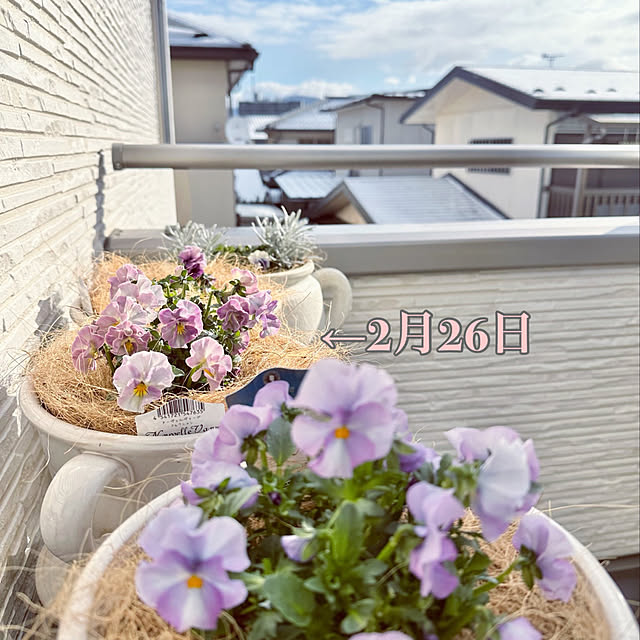 Re_さんの部屋