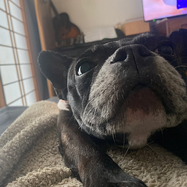 kotaroさんの部屋