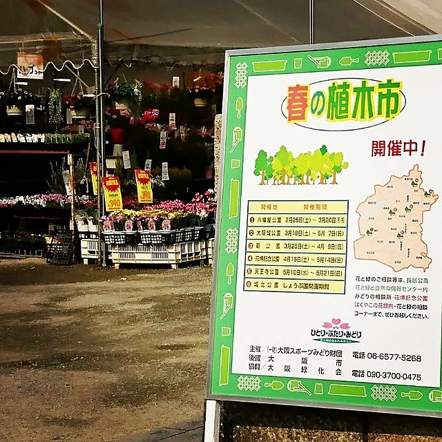 okameさんの実例写真