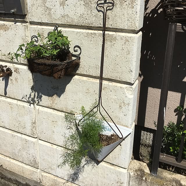 玄関/入り口/観葉植物のインテリア実例 - 2016-07-03 14:45:12
