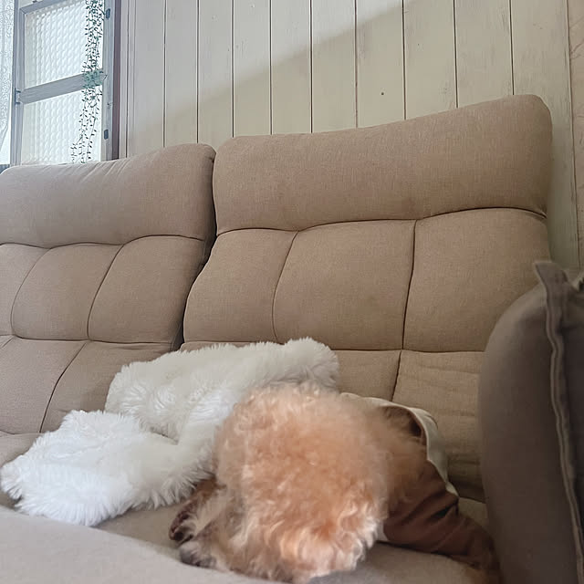 rookuさんの部屋