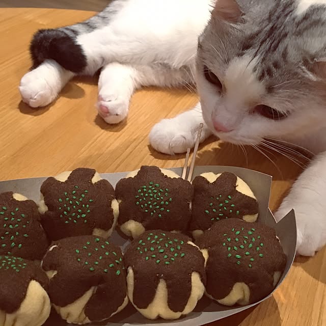 机/インテリアじゃなくてすみません/猫と暮らす/子供と暮らすのインテリア実例 - 2016-11-30 20:50:16