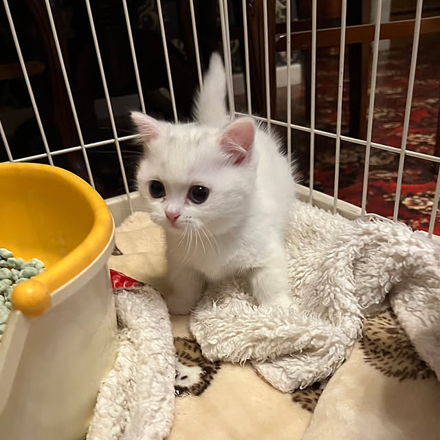 AYUKOさんの部屋