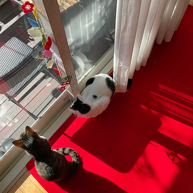 nobikoさんの実例写真