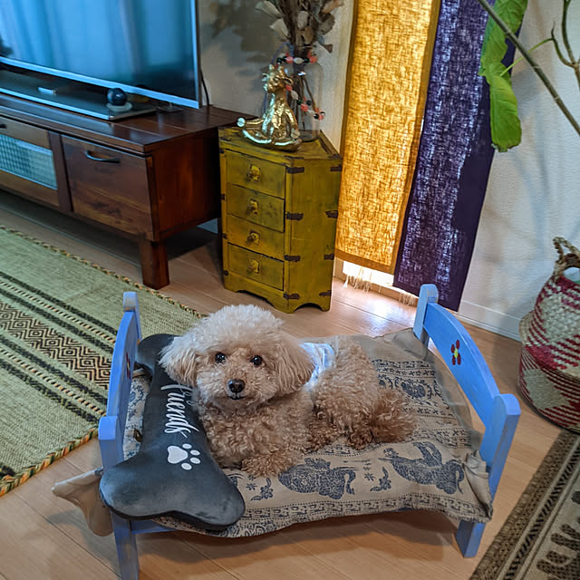 hasehase1219さんの実例写真