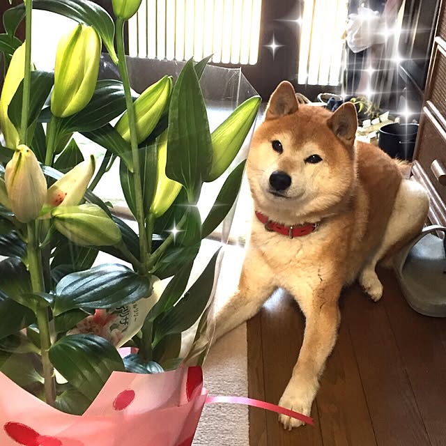 htm.さんの実例写真