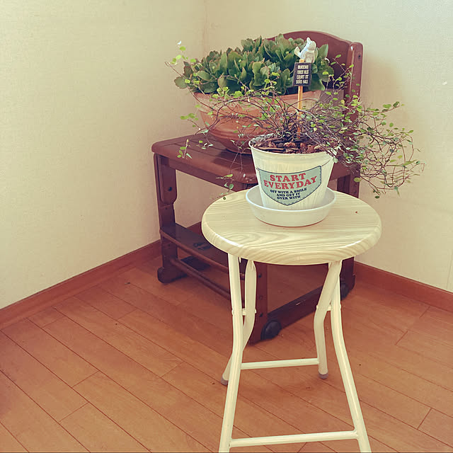 CoCo617さんの実例写真