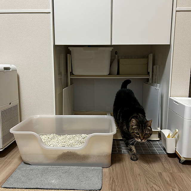 mikomaruさんの部屋