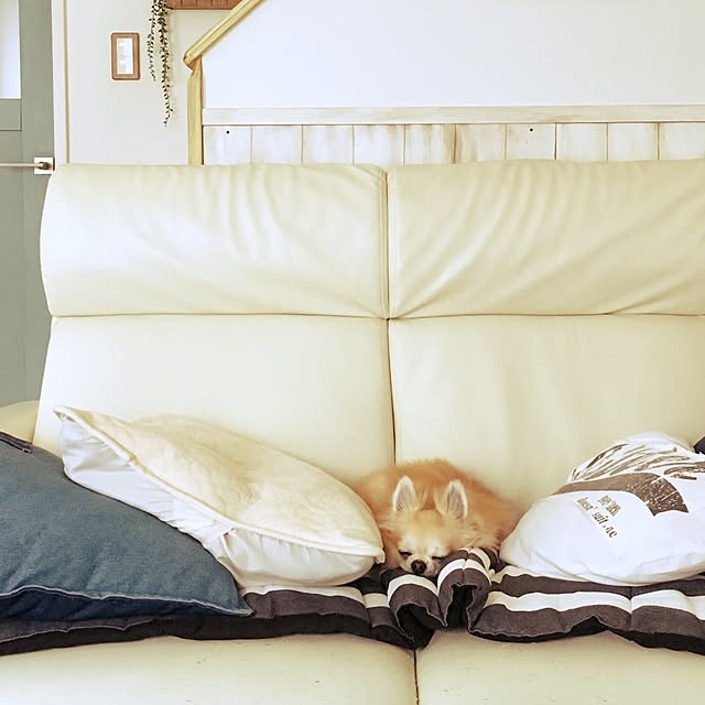 konomi513さんの実例写真