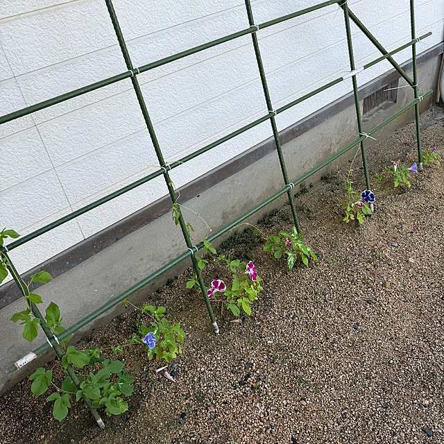sakakenさんの部屋