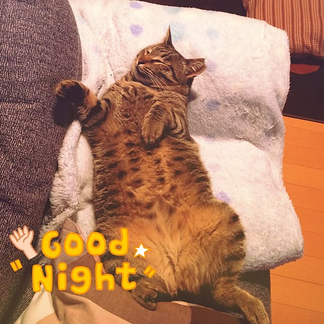 panchanさんの実例写真