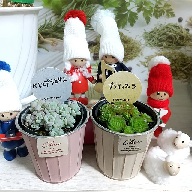 meiさんの実例写真