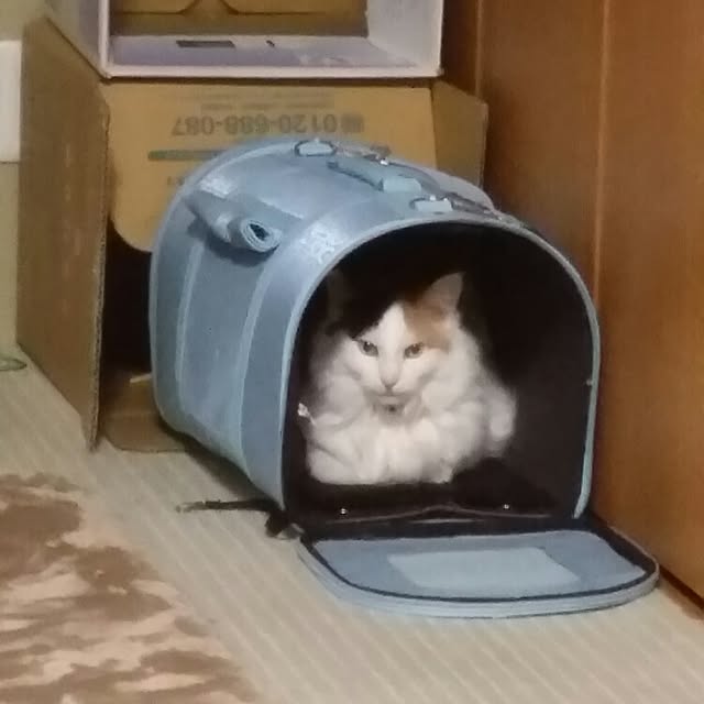 kumi-kumiさんの実例写真
