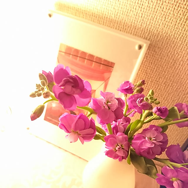 sさんの実例写真