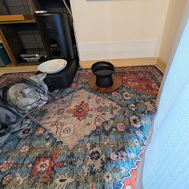 lovepeaceさんの部屋