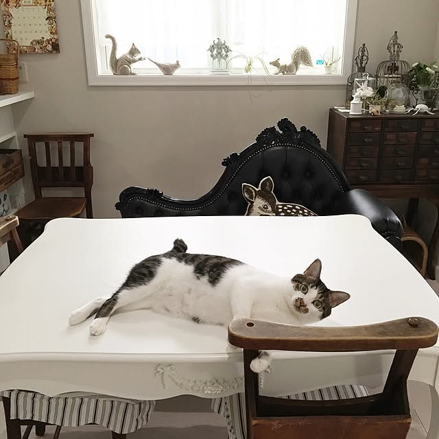 yuchiさんの実例写真