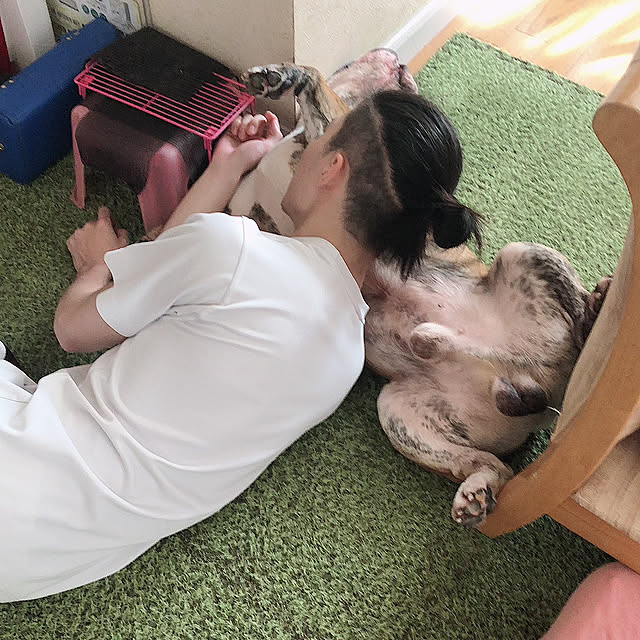 chi_gogaさんの部屋