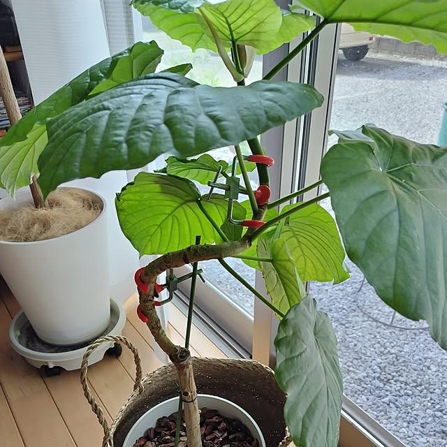 mutsuさんの部屋